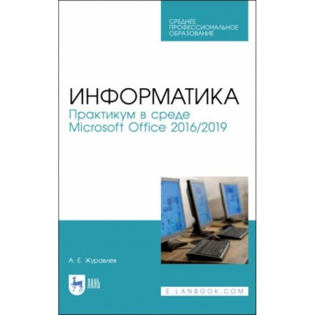 Компьютерная литература, книга Информатика. Практикум в среде Microsoft Office 2016/2019. Учебное пособие для СПОН