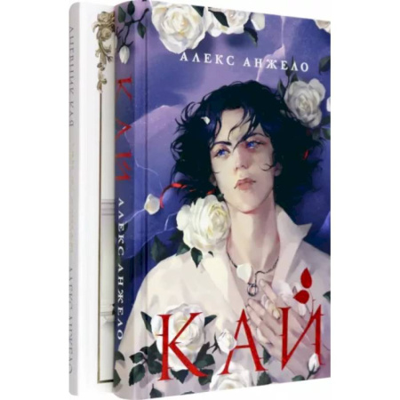 Фантастика, фэнтези, книга Комплект Кай + Арт-блокнот Дневник Кая