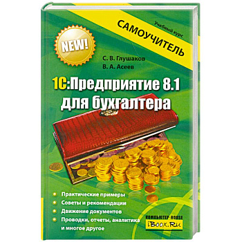 1С:Предприятие 8.1 для бухгалтера