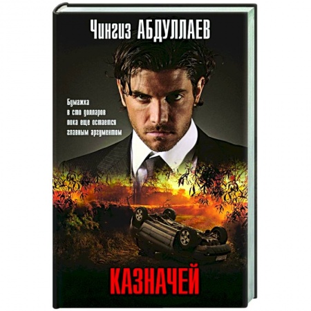 Детективы, триллеры, книга Казначей