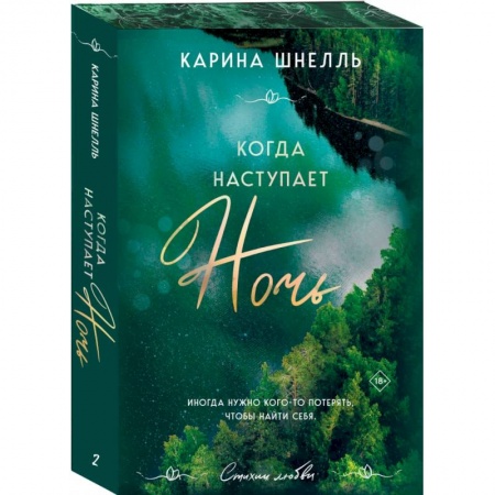 Любовный роман, книга Когда наступает ночь 2