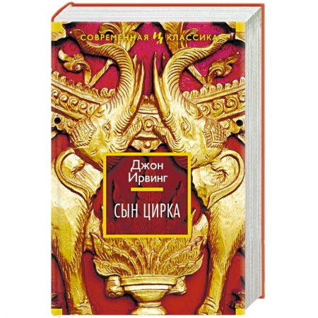 Классика, современная литература, книга Сын цирка