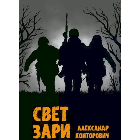 Классика, современная литература, книга Свет зари