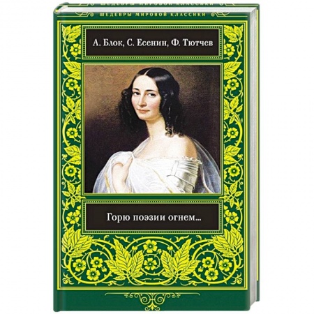 Классика, современная литература, книга Горю Поэзии огнем...