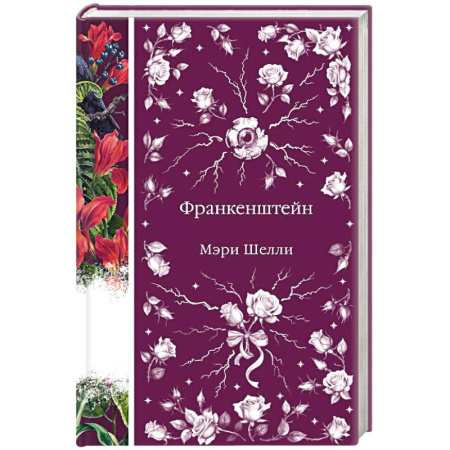 Классика, современная литература, книга Франкенштейн