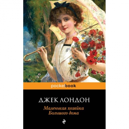 Классика, современная литература, книга Маленькая хозяйка Большого дома