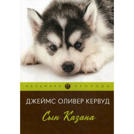 Классика, современная литература, книга Сын Казана