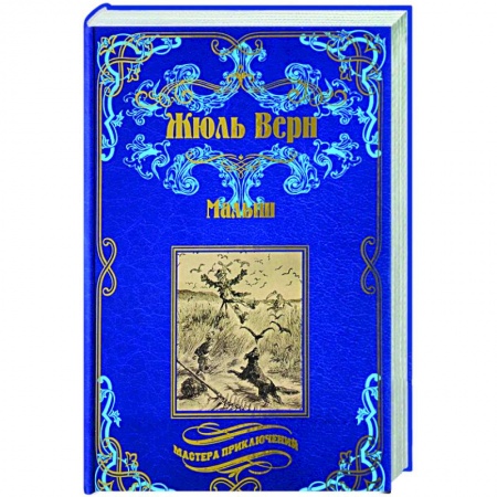 Приключения, книга Малыш