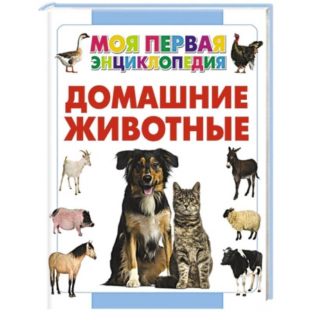 Книги, книга Домашние животные