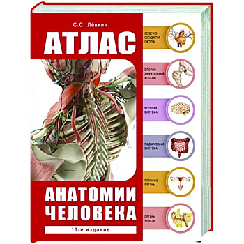 Атлас анатомии человека Атлас анатомии человека