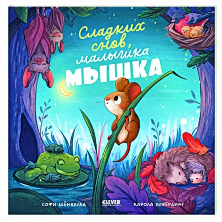 Книги для дошкольников (4-6 лет), книга Сладких снов, малышка мышка!
