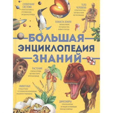 Познавательная литература, книга Большая энциклопедия знаний (желтая)