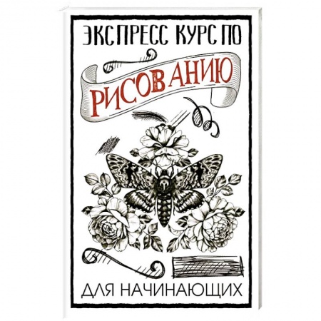 Рисование, живопись, книга Экспресс курс по рисованию для начинающих