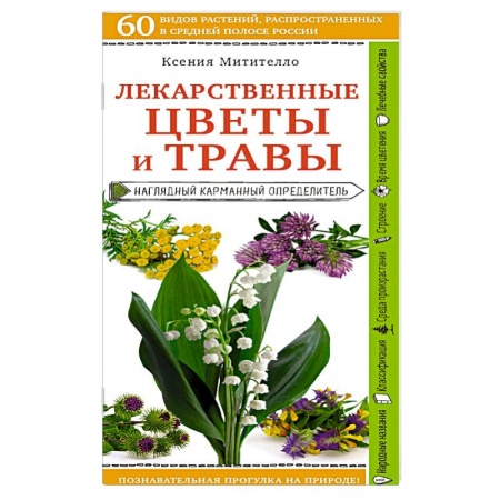 Популярная и нетрадиционная медицина, книга Лекарственные цветы и травы. Наглядный карманный определитель