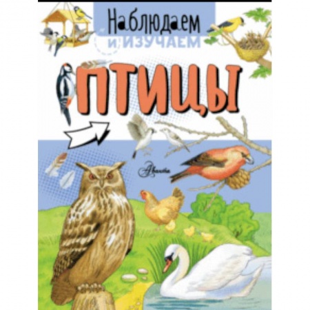 Познавательная литература, книга Птицы