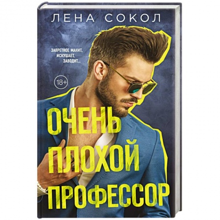 Любовный роман, книга Очень плохой профессор