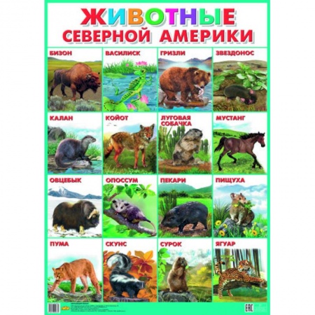 Книги, книга Плакат. Животные Северной Америки (550х770)