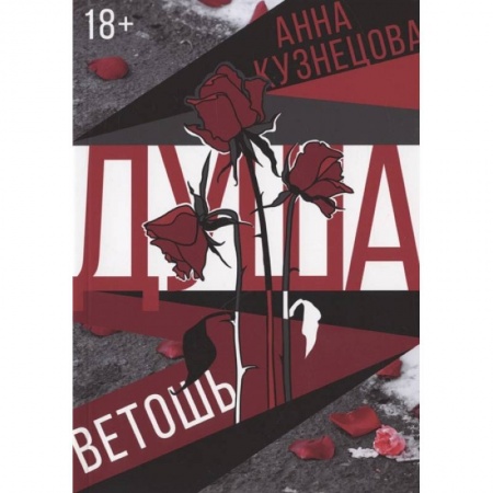 Классика, современная литература, книга Душа-ветошь