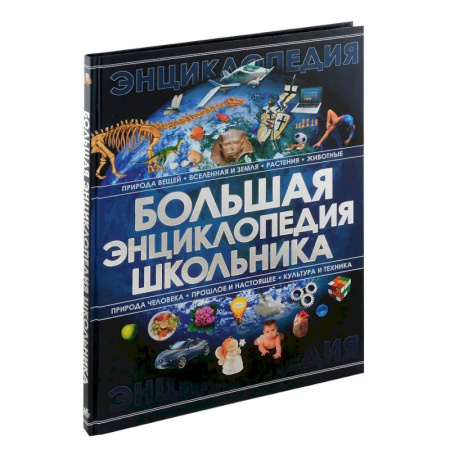 Школьникам и абитуриентам, книга Большая энциклопедия школьника