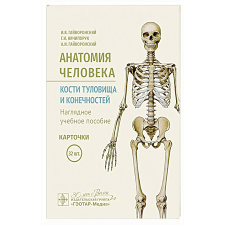 книга Анатомия человека. Кости туловища и конечностей. Карточки: Наглядное учебное пособие с доставкой по Франции Медико-биологические дисциплины, книга Анатомия человека. Кости туловища и конечностей. Карточки: Наглядное учебное пособие