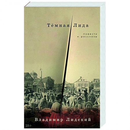 Классика, современная литература, книга Темная Лида. Повести и рассказы