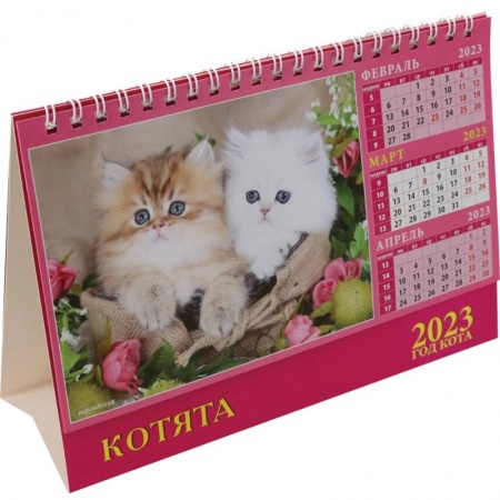 Книги, книга Календарь Год кота. Котята на 2023 год