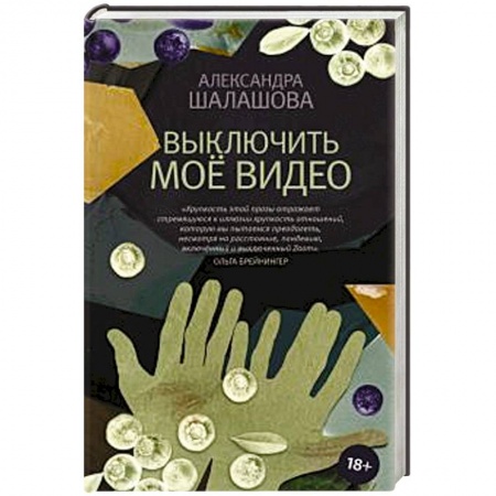 Классика, современная литература, книга Выключить моё видео