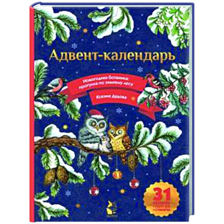 Досуг, творчество и кулинария, книга Адвент-календарь. Новогодняя ботаника: прогулка по зимнему лесу