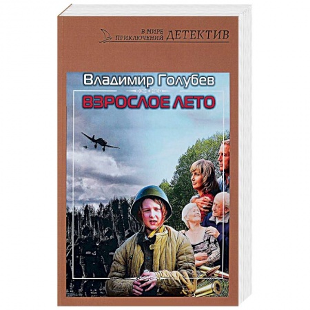 Детективы, триллеры, книга Взрослое лето: роман