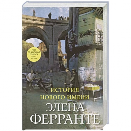 Классика, современная литература, книга История нового имени