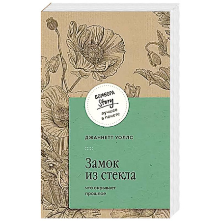 Классика, современная литература, книга Замок из стекла. Что скрывает прошлое