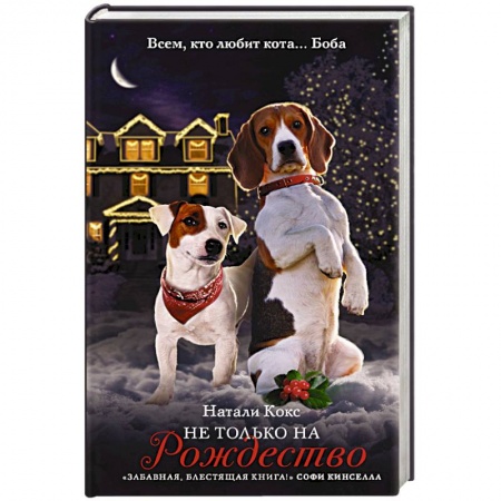 Любовный роман, книга Не только на Рождество