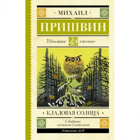 Классика, современная литература, книга Кладовая солнца