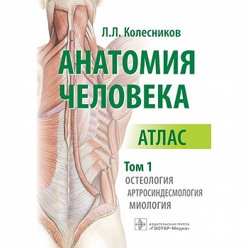 Анатомия человека. Атлас в 3-х томах. Том 1. Остеология, артросиндесмология, миология Анатомия человека. Атлас в 3-х томах. Том 1. Остеология, артросиндесмология, миология