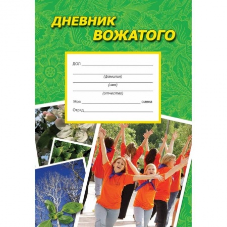 Студентам и аспирантам, книга Дневник вожатого. Практическое пособие