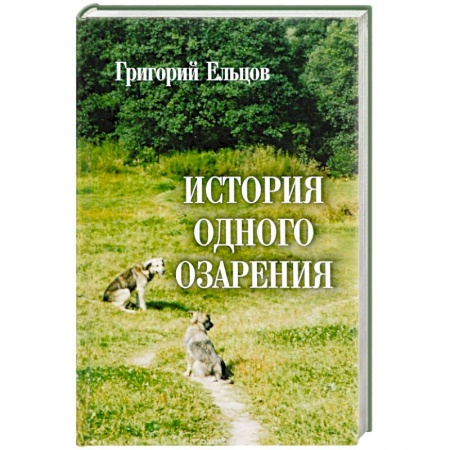 Классика, современная литература, книга История одного озарения
