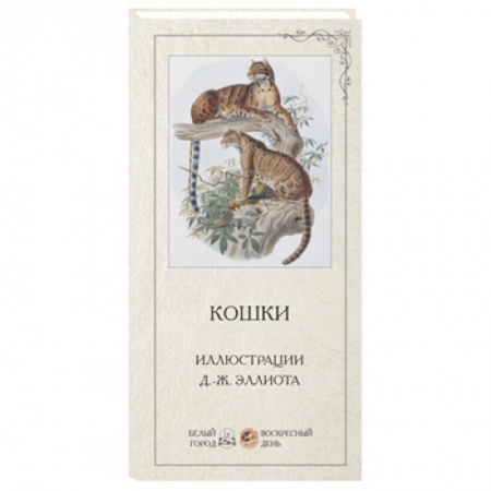 Книги, книга Кошки