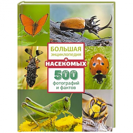 Познавательная литература, книга Большая энциклопедия о насекомых. 500 фотографий и фактов