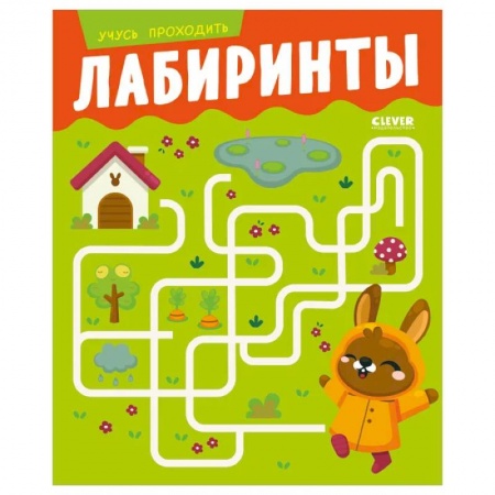 Досуг, творчество и кулинария, книга Развивайся и играй! Учусь проходить лабиринты