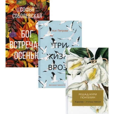 Классика, современная литература, книга Женская проза