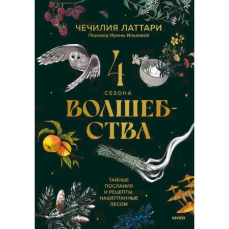 Домоводство. Обиходно-бытовые рекомендации, книга 4 сезона волшебства. Тайные послания и рецепты, нашептанные лесом