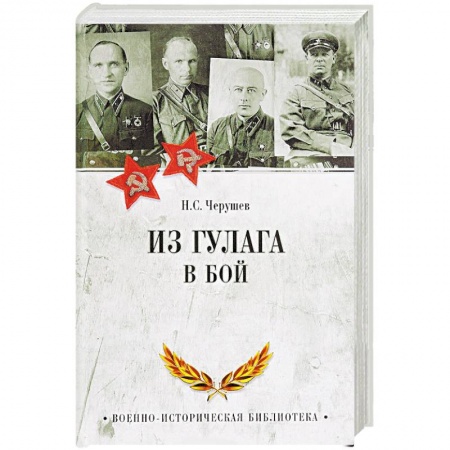 Публицистика, книга Из ГУЛАГа - в бой