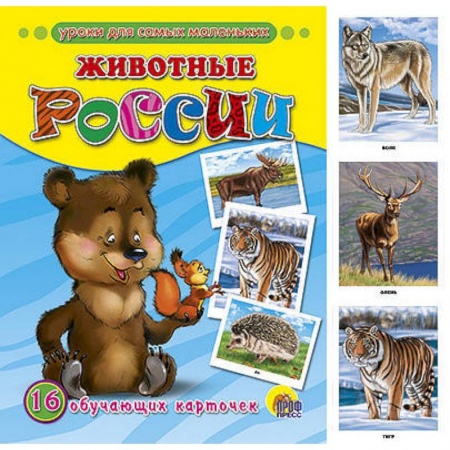 Книги, книга Обучающие карточки. Животные России