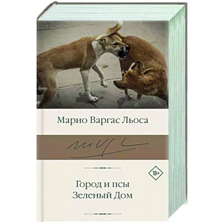 Классика, современная литература, книга Город и псы. Зеленый Дом