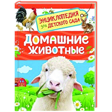 Познавательная литература, книга Домашние животные