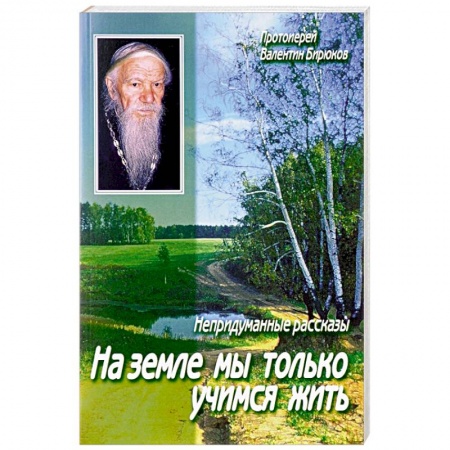 Православие, книга На земле мы только учимся жить