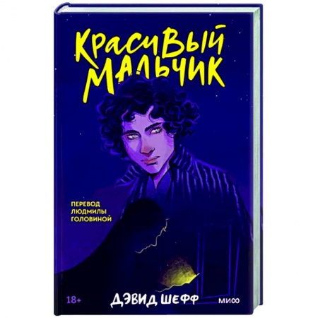 Мемуары, биографии, книга Красивый мальчик