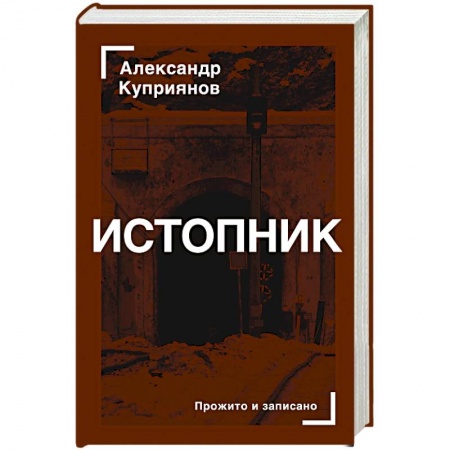 Классика, современная литература, книга Истопник