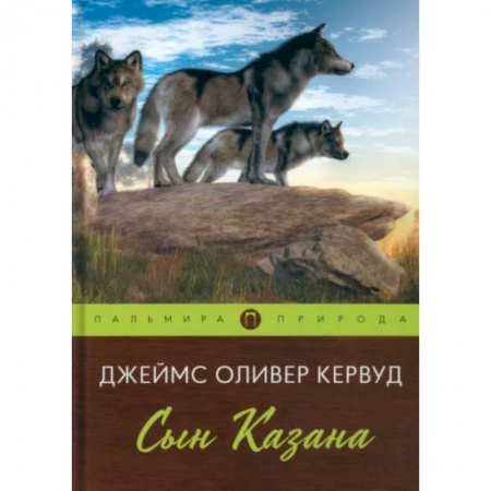 Классика, современная литература, книга Сын Казана