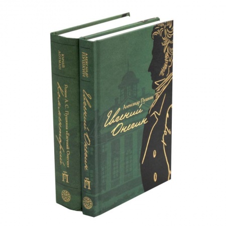 Классика, современная литература, книга Евгений Онегин  В 2 кн